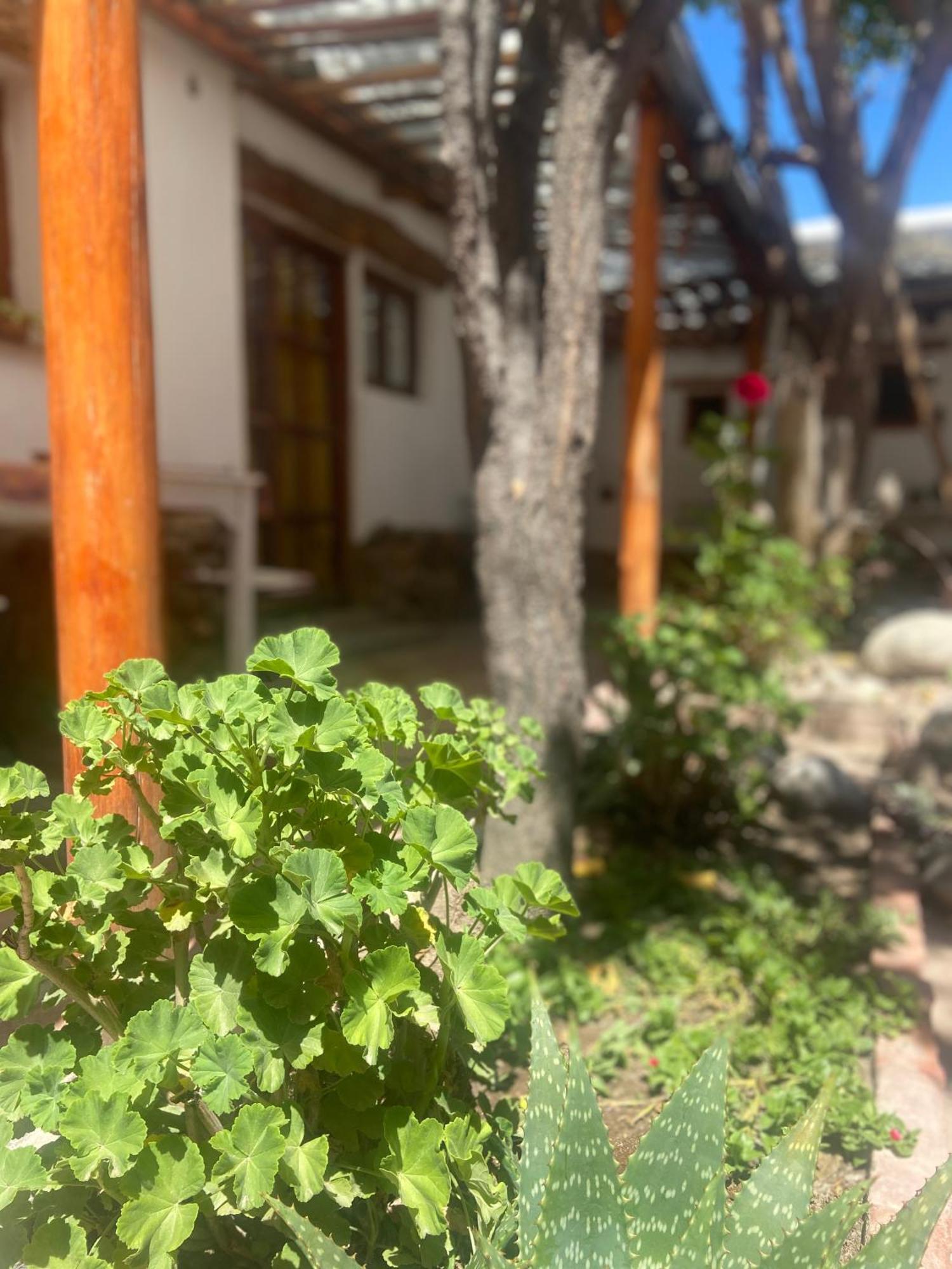 Hostal Tierra Andina Cafayate Exterior foto